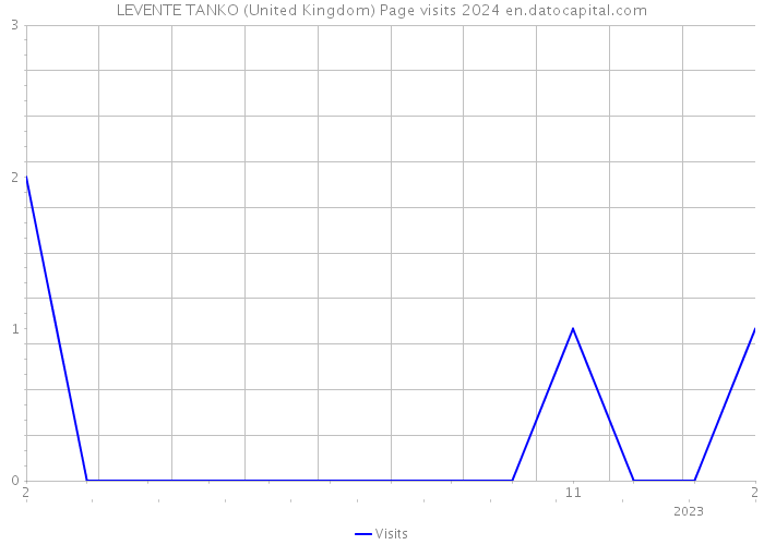 LEVENTE TANKO (United Kingdom) Page visits 2024 