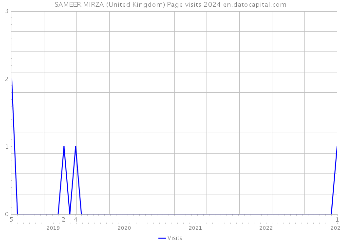 SAMEER MIRZA (United Kingdom) Page visits 2024 