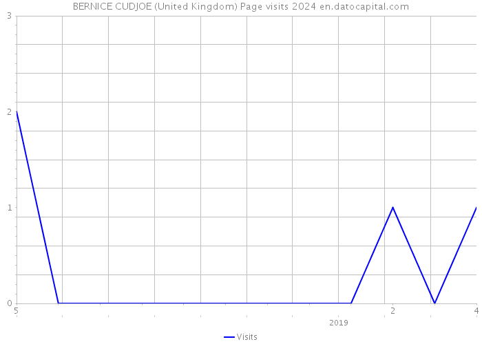 BERNICE CUDJOE (United Kingdom) Page visits 2024 