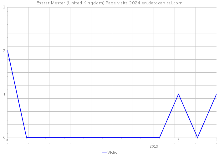 Eszter Mester (United Kingdom) Page visits 2024 