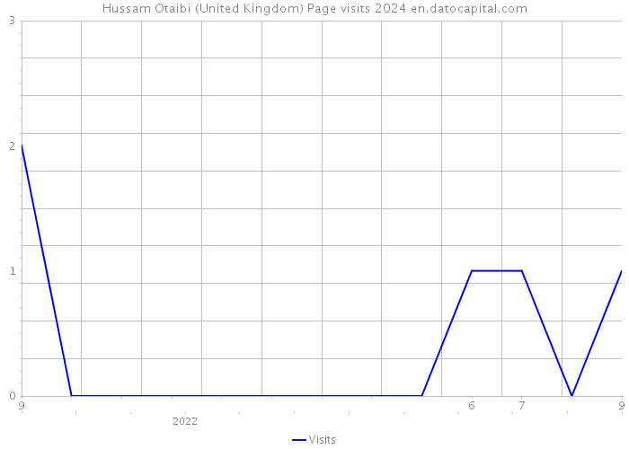 Hussam Otaibi (United Kingdom) Page visits 2024 