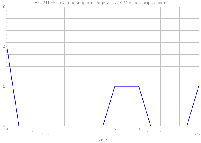EYUP NIYAZI (United Kingdom) Page visits 2024 