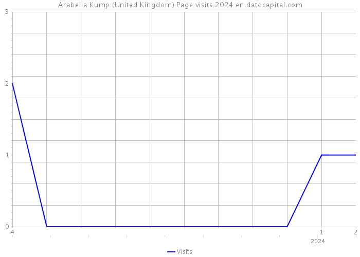 Arabella Kump (United Kingdom) Page visits 2024 