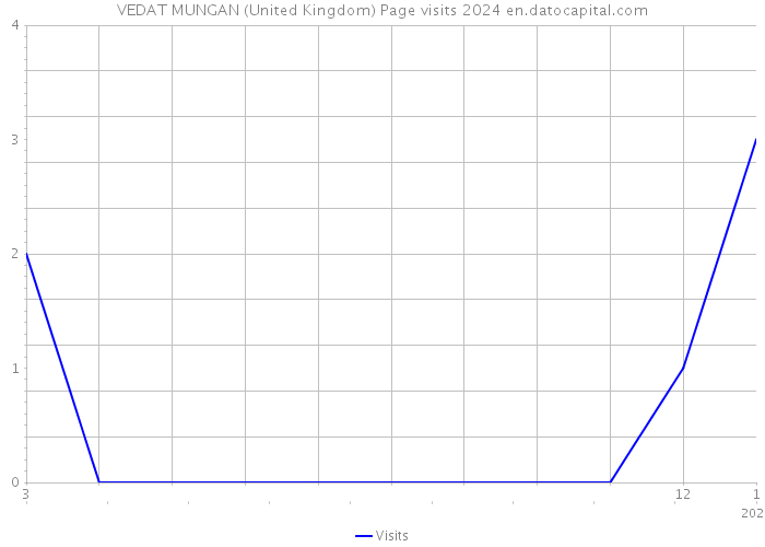 VEDAT MUNGAN (United Kingdom) Page visits 2024 