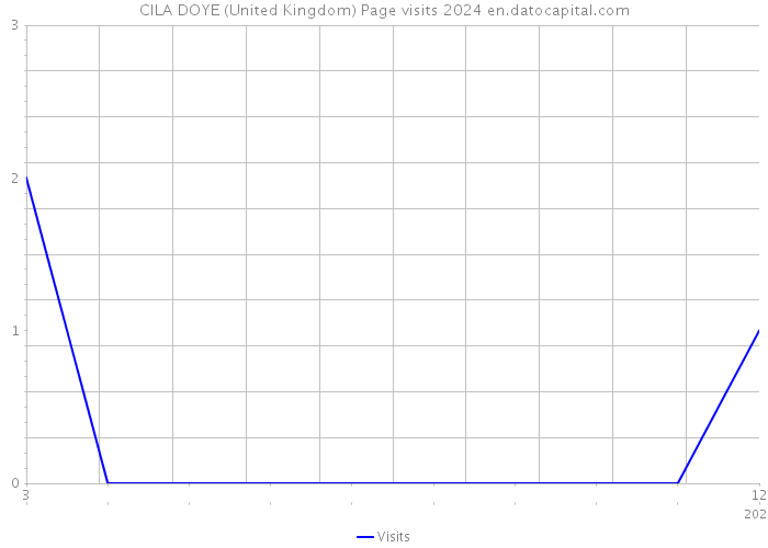 CILA DOYE (United Kingdom) Page visits 2024 