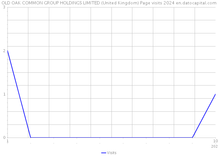 OLD OAK COMMON GROUP HOLDINGS LIMITED (United Kingdom) Page visits 2024 