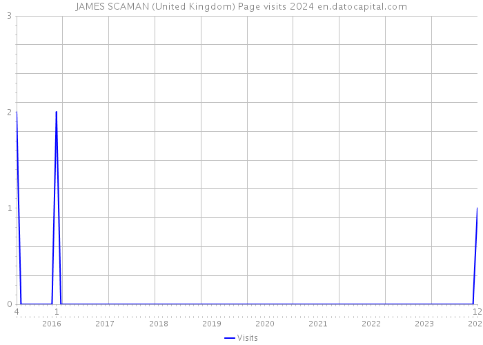 JAMES SCAMAN (United Kingdom) Page visits 2024 