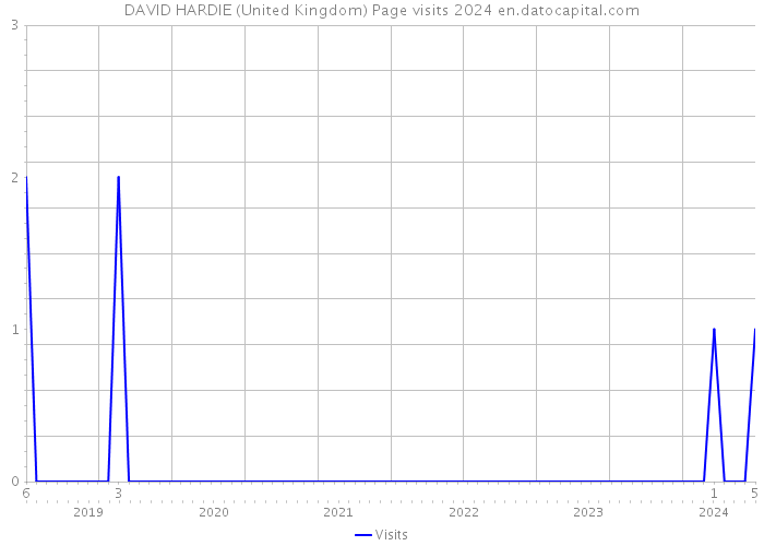 DAVID HARDIE (United Kingdom) Page visits 2024 