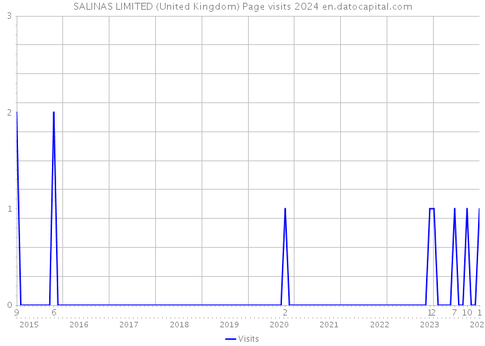 SALINAS LIMITED (United Kingdom) Page visits 2024 