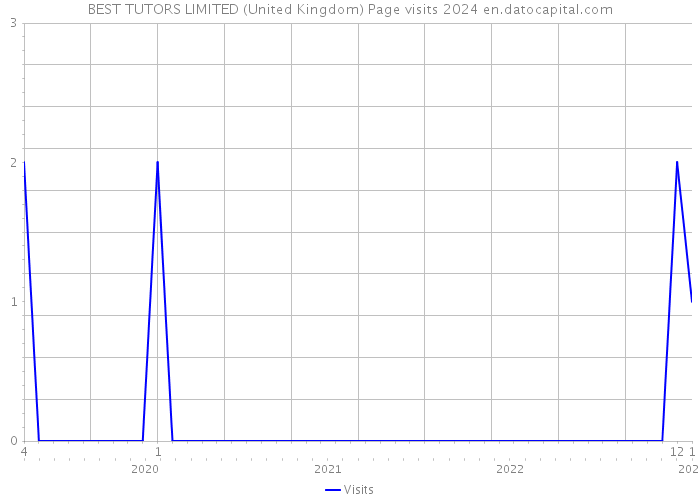 BEST TUTORS LIMITED (United Kingdom) Page visits 2024 