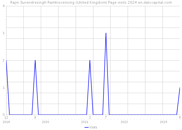 Rajin Surendresingh Ramkisoensing (United Kingdom) Page visits 2024 