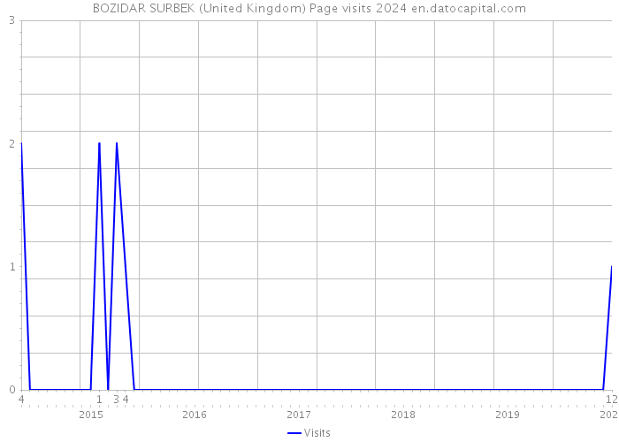 BOZIDAR SURBEK (United Kingdom) Page visits 2024 
