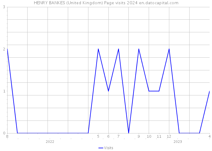 HENRY BANKES (United Kingdom) Page visits 2024 
