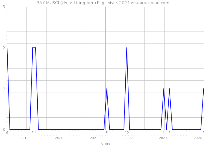 RAY MUSCI (United Kingdom) Page visits 2024 