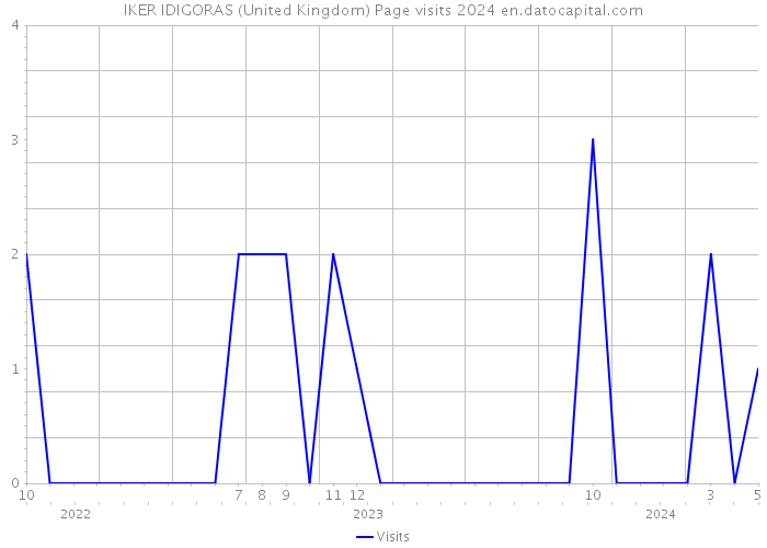 IKER IDIGORAS (United Kingdom) Page visits 2024 