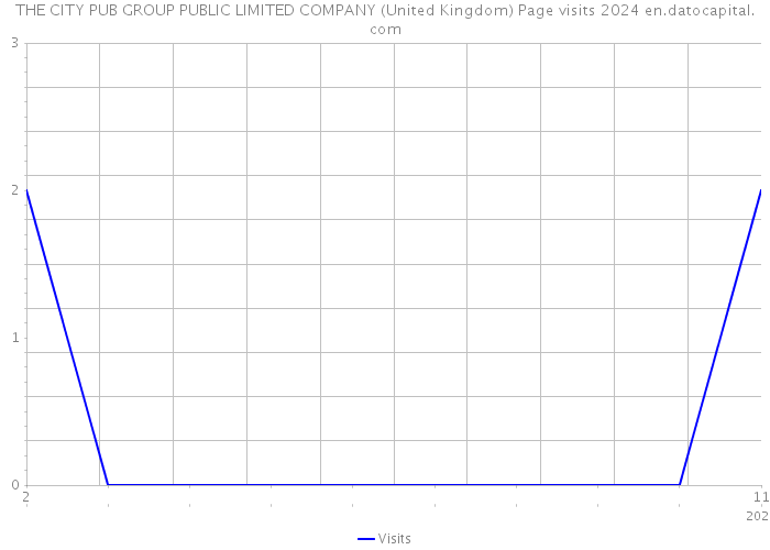 THE CITY PUB GROUP PUBLIC LIMITED COMPANY (United Kingdom) Page visits 2024 