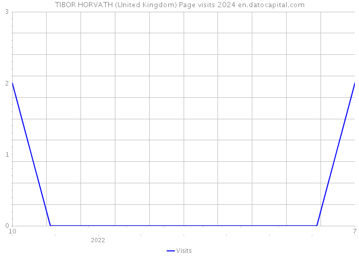 TIBOR HORVATH (United Kingdom) Page visits 2024 