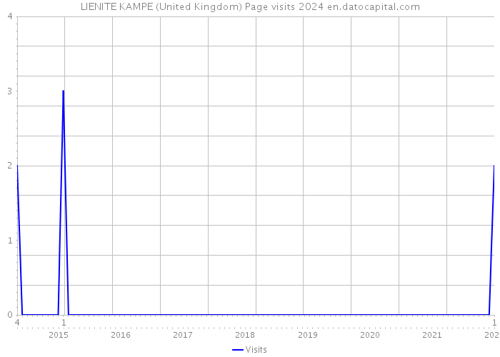 LIENITE KAMPE (United Kingdom) Page visits 2024 