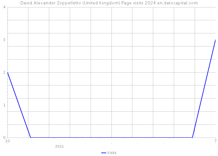 David Alexander Zoppelletto (United Kingdom) Page visits 2024 