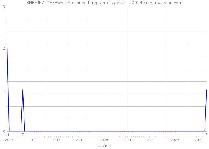 SHEMINA GHEEWALLA (United Kingdom) Page visits 2024 