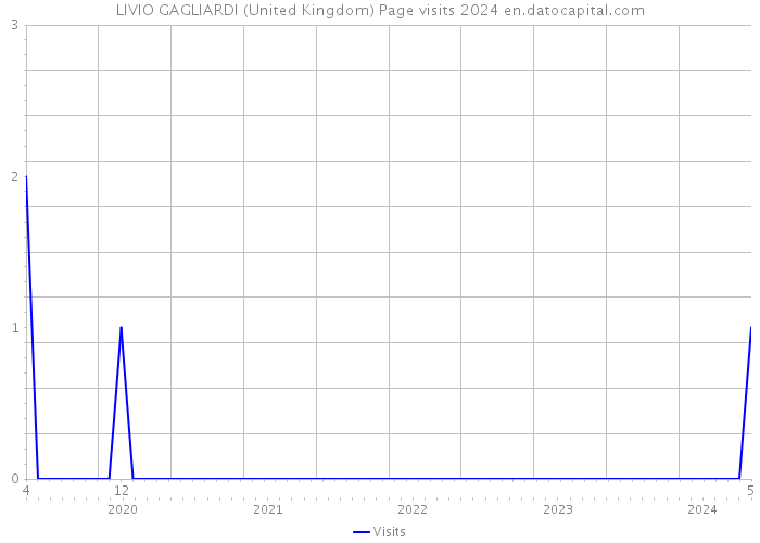 LIVIO GAGLIARDI (United Kingdom) Page visits 2024 