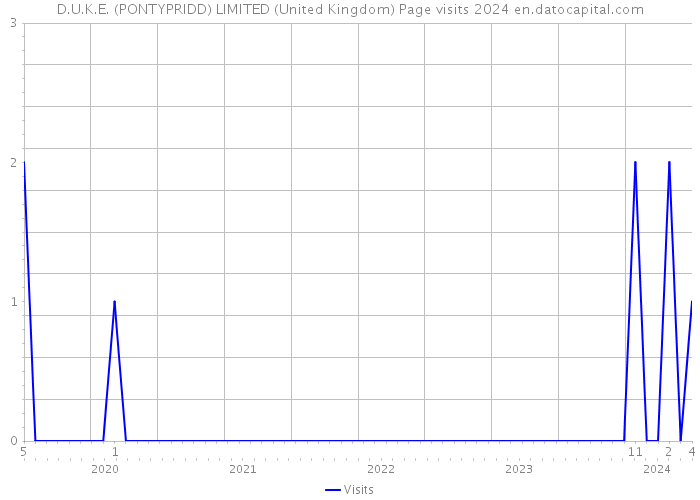D.U.K.E. (PONTYPRIDD) LIMITED (United Kingdom) Page visits 2024 