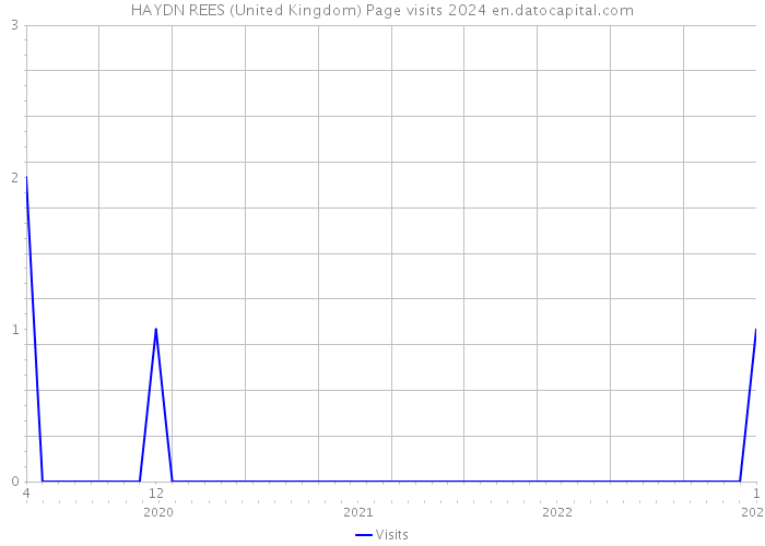 HAYDN REES (United Kingdom) Page visits 2024 