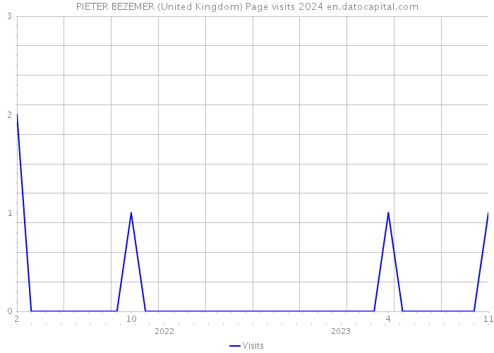 PIETER BEZEMER (United Kingdom) Page visits 2024 