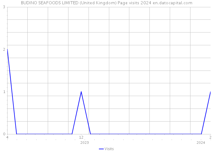 BUDINO SEAFOODS LIMITED (United Kingdom) Page visits 2024 