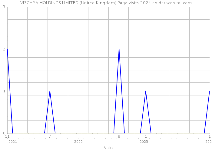 VIZCAYA HOLDINGS LIMITED (United Kingdom) Page visits 2024 