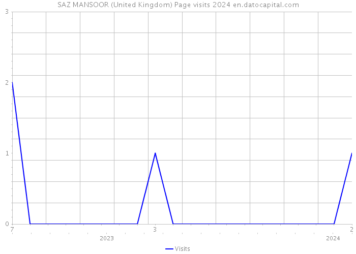 SAZ MANSOOR (United Kingdom) Page visits 2024 