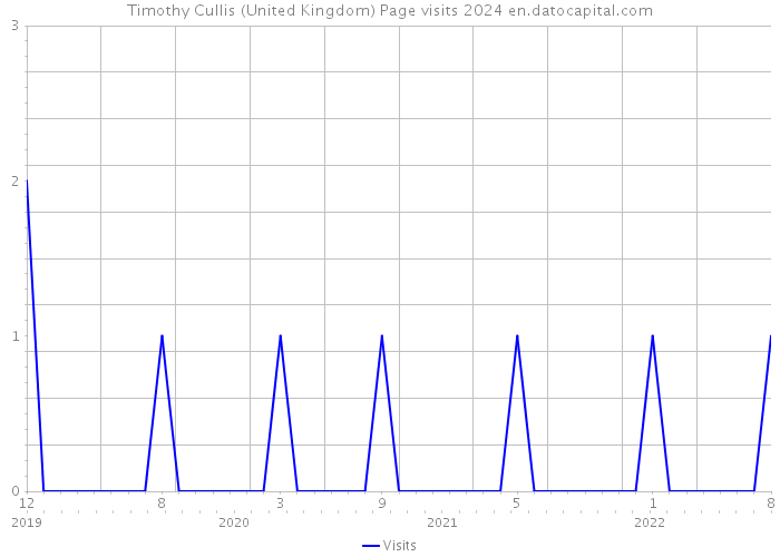 Timothy Cullis (United Kingdom) Page visits 2024 