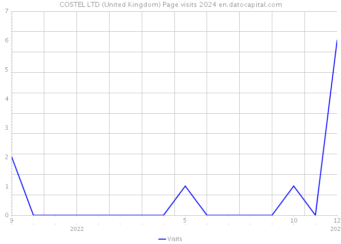COSTEL LTD (United Kingdom) Page visits 2024 
