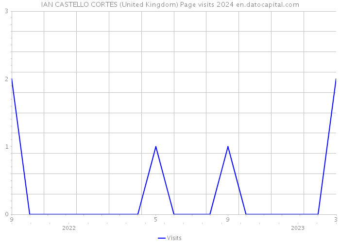 IAN CASTELLO CORTES (United Kingdom) Page visits 2024 