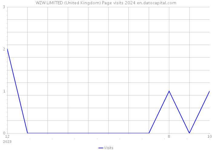 WZW LIMITED (United Kingdom) Page visits 2024 