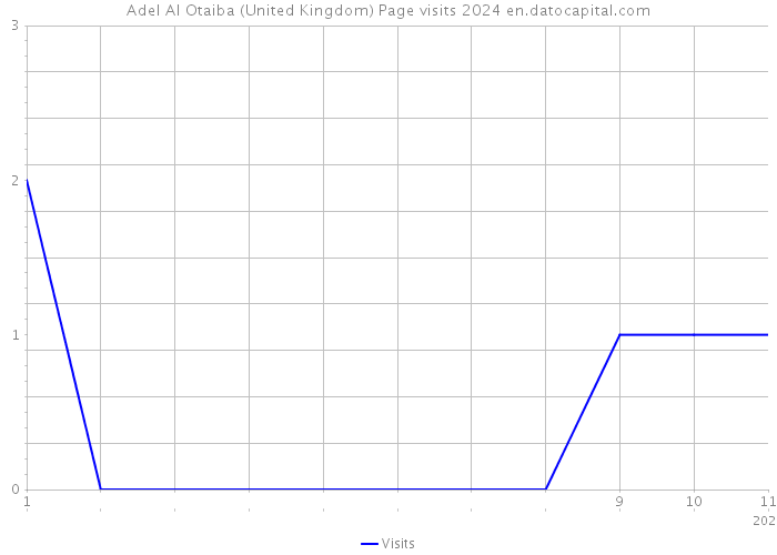Adel Al Otaiba (United Kingdom) Page visits 2024 