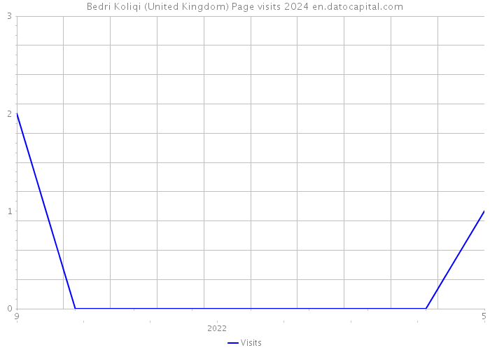 Bedri Koliqi (United Kingdom) Page visits 2024 