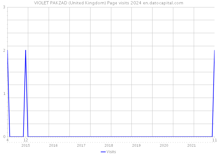 VIOLET PAKZAD (United Kingdom) Page visits 2024 