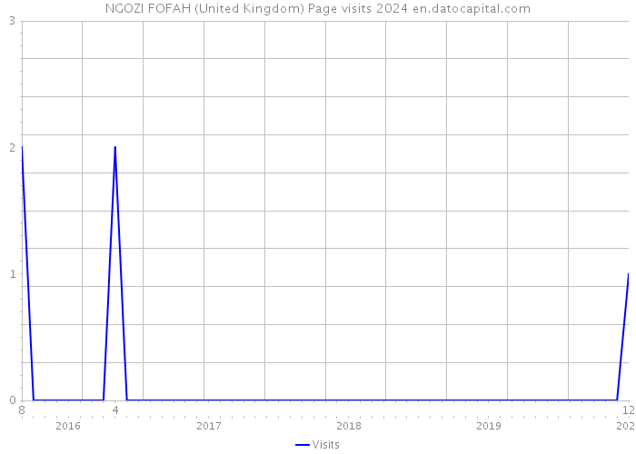 NGOZI FOFAH (United Kingdom) Page visits 2024 