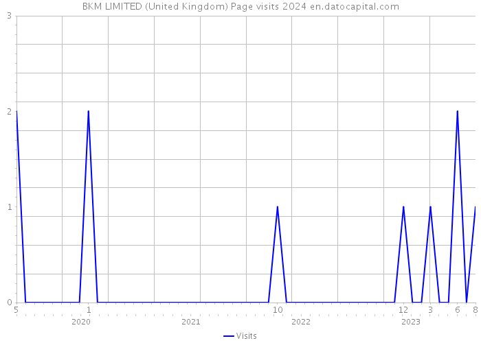 BKM LIMITED (United Kingdom) Page visits 2024 