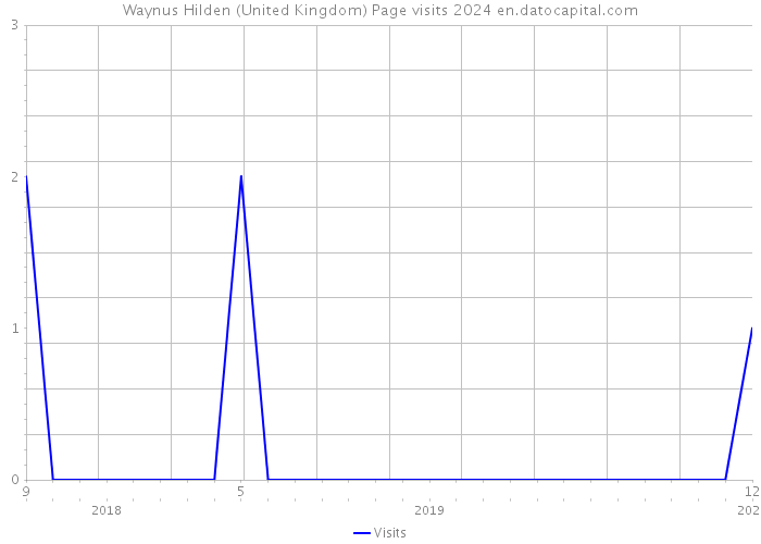 Waynus Hilden (United Kingdom) Page visits 2024 