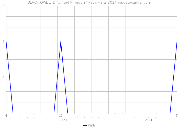 BLACK OWL LTD (United Kingdom) Page visits 2024 