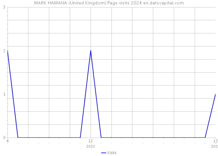 MARK HAMANA (United Kingdom) Page visits 2024 