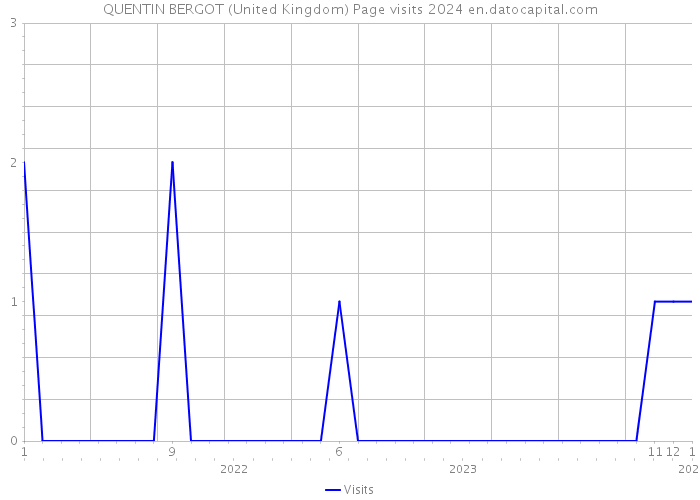 QUENTIN BERGOT (United Kingdom) Page visits 2024 