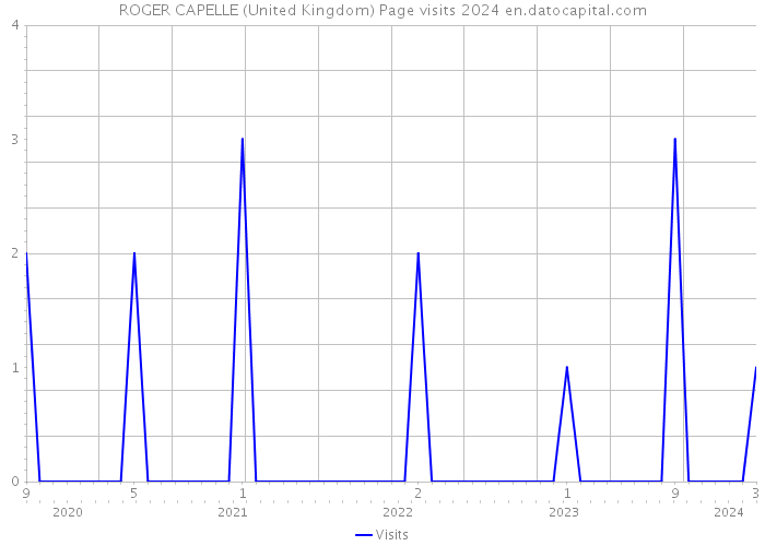 ROGER CAPELLE (United Kingdom) Page visits 2024 