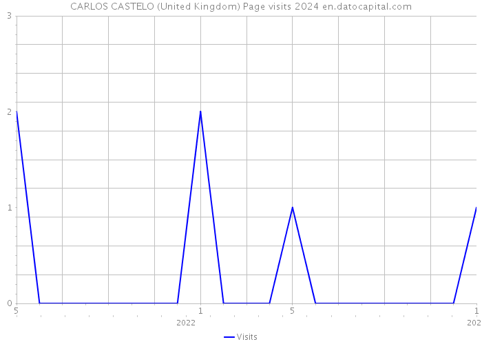 CARLOS CASTELO (United Kingdom) Page visits 2024 