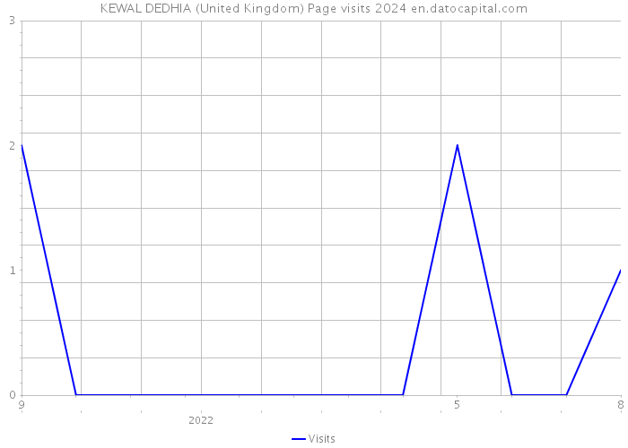 KEWAL DEDHIA (United Kingdom) Page visits 2024 