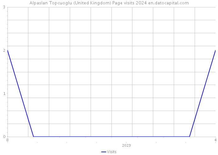 Alpaslan Topcuoglu (United Kingdom) Page visits 2024 
