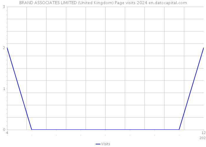 BRAND ASSOCIATES LIMITED (United Kingdom) Page visits 2024 