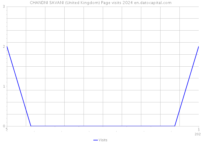 CHANDNI SAVANI (United Kingdom) Page visits 2024 